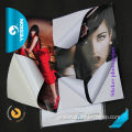 Yesion Premium High Glossy Inkjet Self Adhesive Photo Paper, Super White Sticker Photo Paper Wholesale